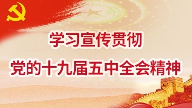 學(xué)習(xí)宣傳貫徹黨的十九屆五中全會精神